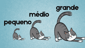 O Pedro quer um gato - TPRS