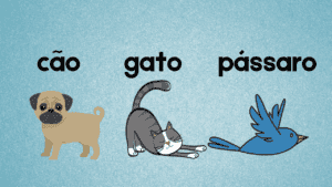 O Pedro tem um gato? - TPRS
