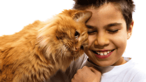 O Pedro quer um gato - TPRS