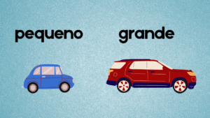 A Ana tem um carro pequeno ou grande? - TPRS