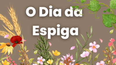 o dia da espiga