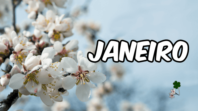 Janeiro in Portugal - traditional winter festival foods, decorations, and cultural customs