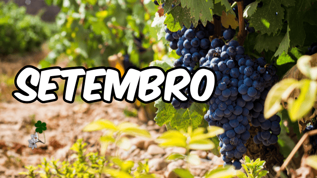Setembro in Portugal – grape harvest, wine festivals, and autumn traditions