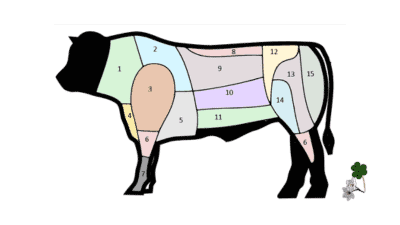 European Portuguese Lesson on Beef cuts in Portugal. Learn how the cuts are called and how to cook them in Portugal.