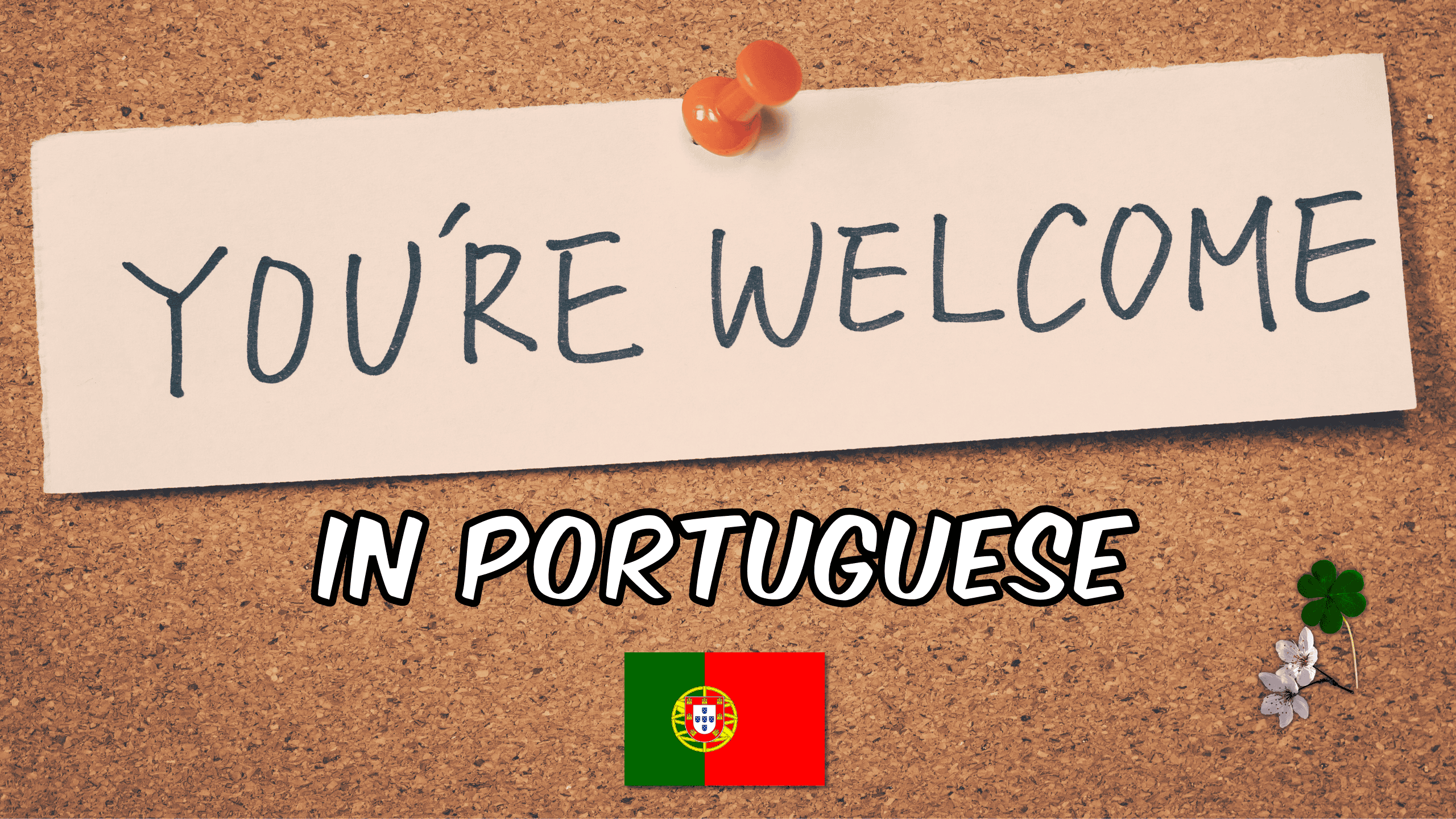 you're welcome in Portuguese