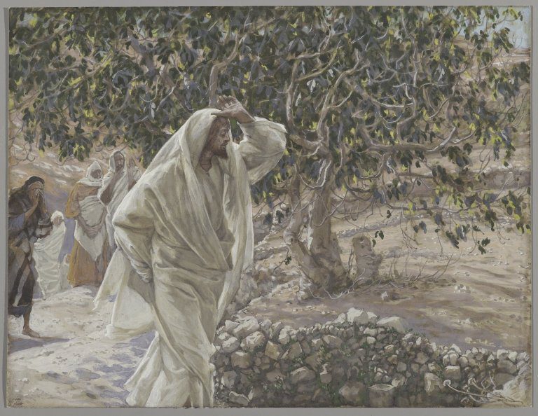 Painting of Jesus cursing the fig tree by James Tissot