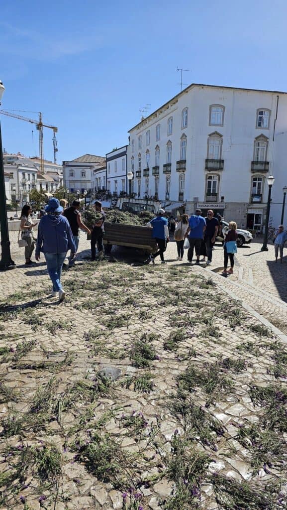 Palm branches lining the street during a Palm Sunday procession in Portugal