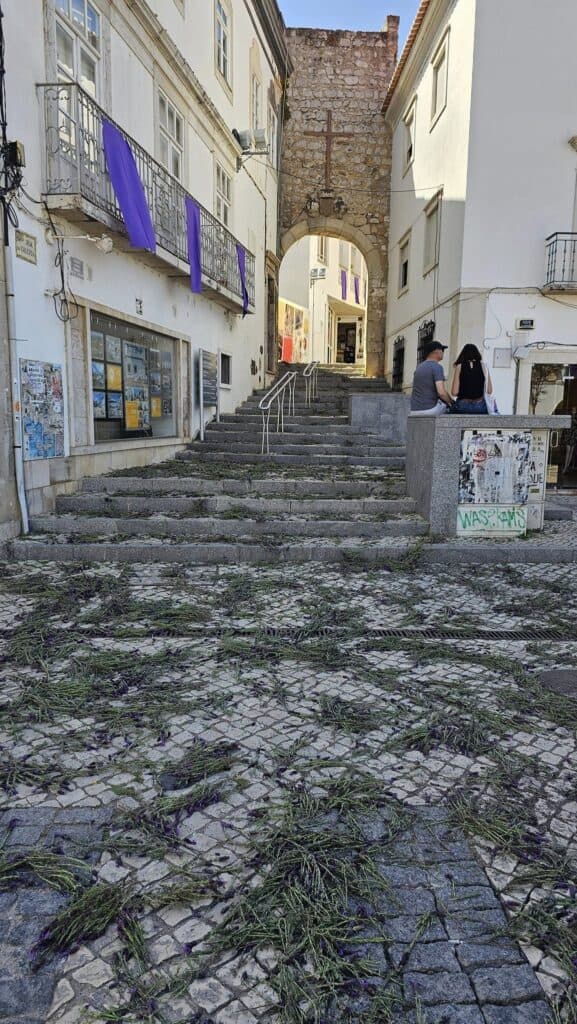 Palm and olive branches blessed for Palm Sunday in Portugal