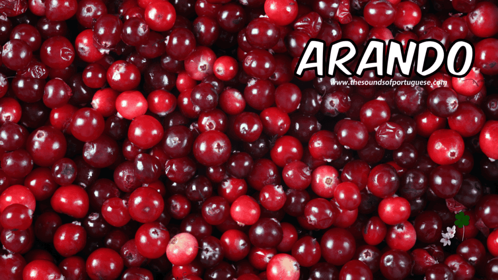 cranberries in Portuguese: arandos
