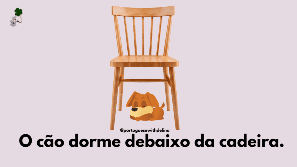 Dog sleeping under a chair - illustrating “debaixo”