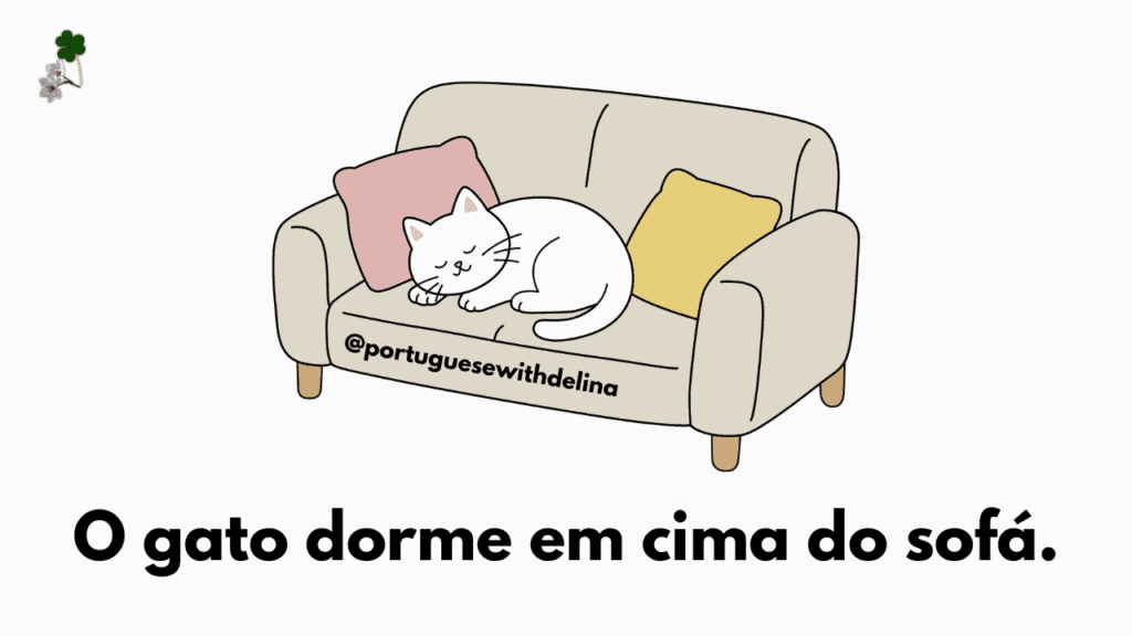 Cat sleeping on top of a sofa to illustrate the Portuguese preposition 'em cima' meaning on top of something in European Portuguese
